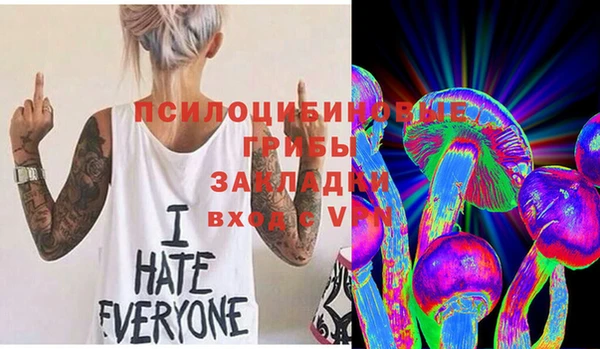 PSILOCYBIN Костерёво