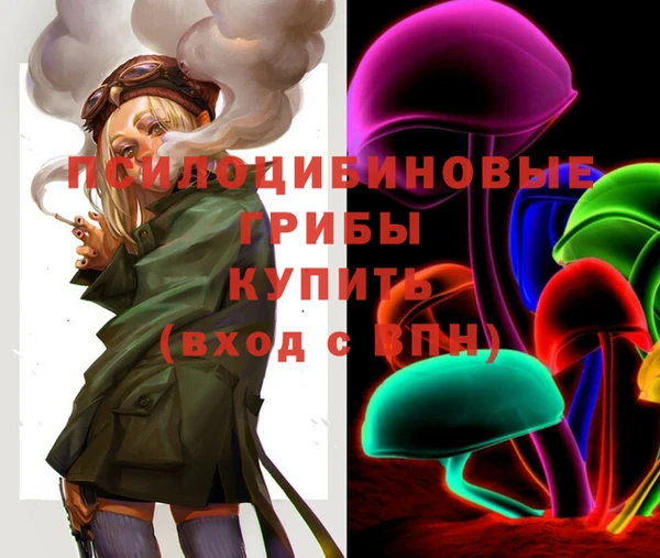 мескалин Коряжма