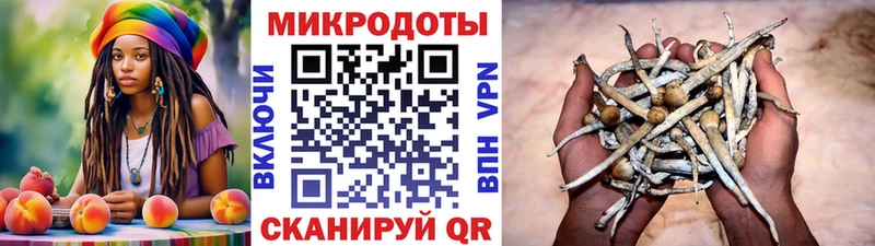 Галлюциногенные грибы мухоморы  купить  сайты  Корсаков 