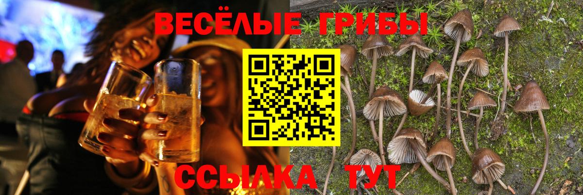 Корсаков  Галлюциногенные грибы Psilocybe  Вход с VPN  Псилоцибиновые грибы Cubensis 